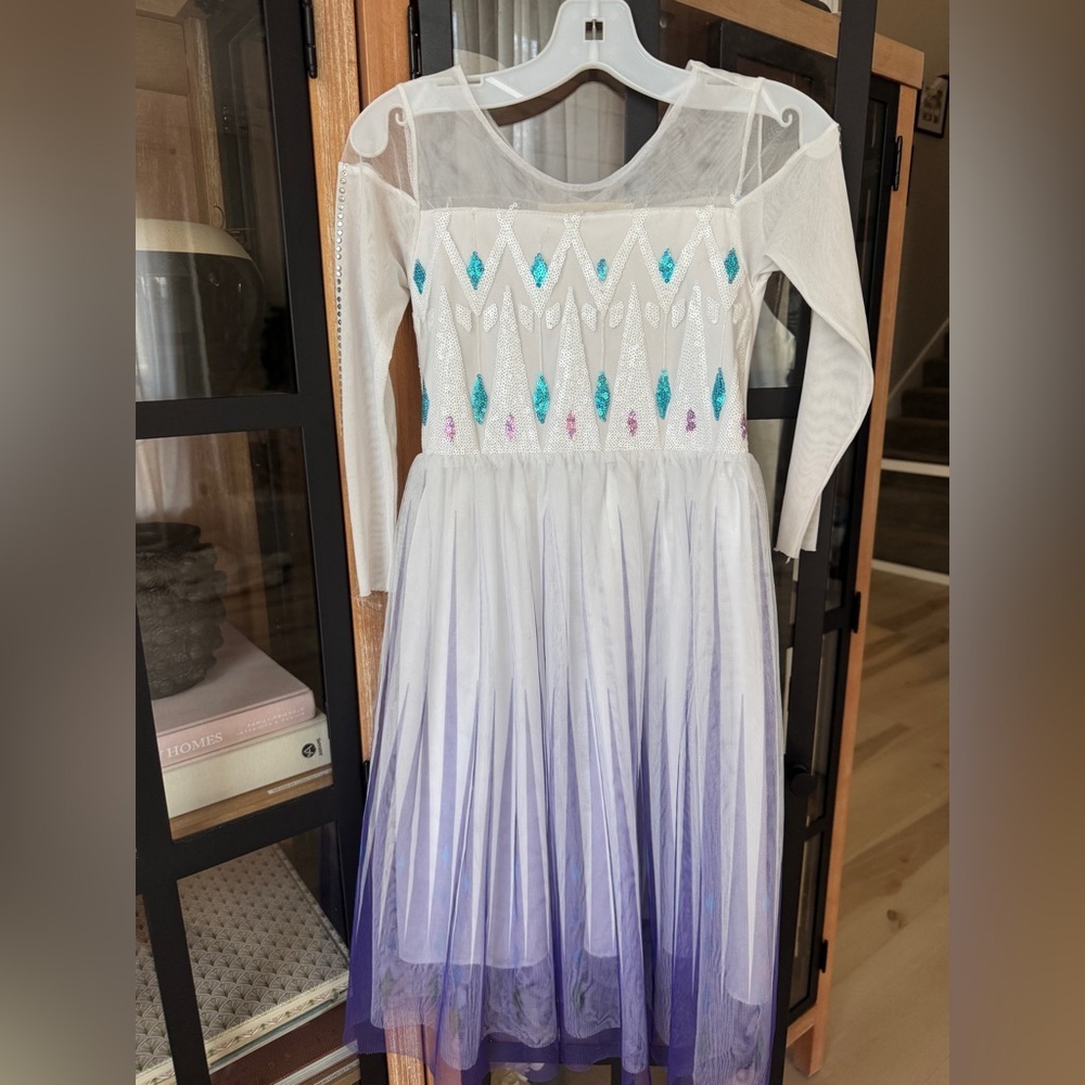 Disney Elsa Frozen princess costume dress ice silver sequins tulle long sleeve